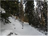 Planina Zajavornik - Vrh Razora